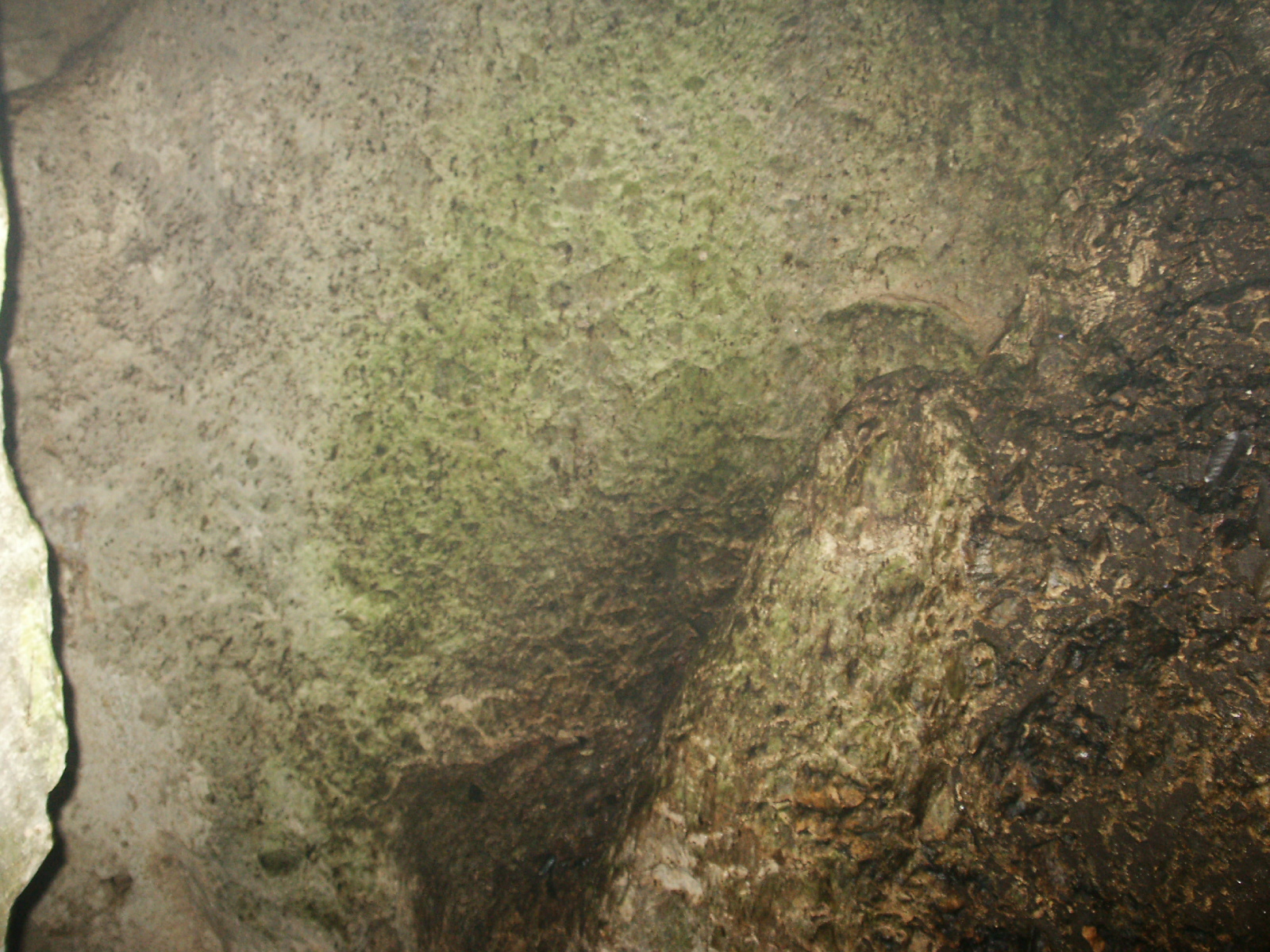 Cave Interior
